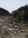rocky_mountain_water_fall.jpg (126484 bytes)